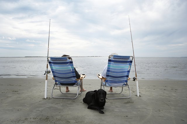 Rear view of two men sitting on chairs on beach, dog lying in front