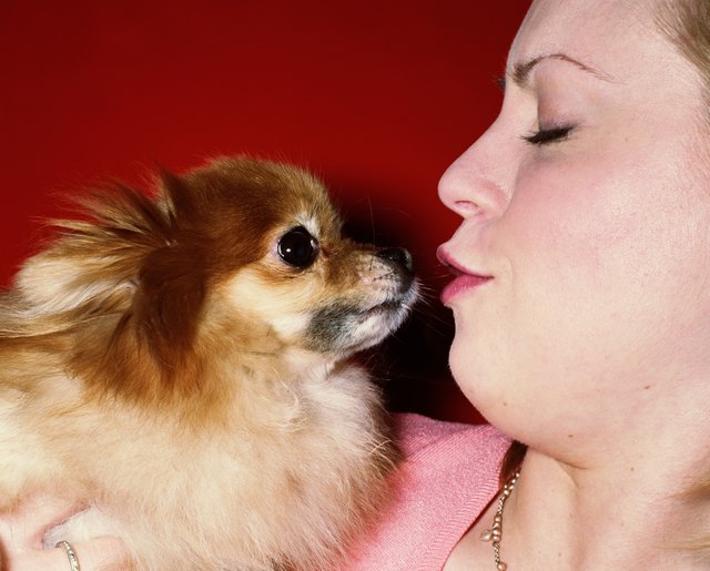 Young woman kissing pomeranian, profile, close-up