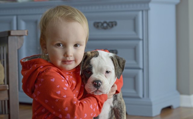 Girl and puppy