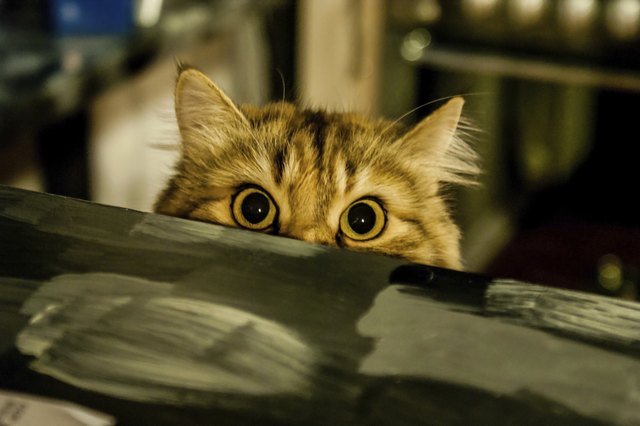 What's up?