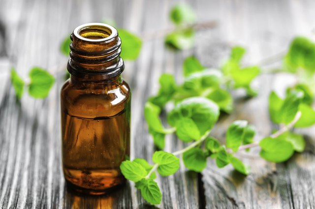 Is Peppermint Oil Harmful to Cats? Cuteness