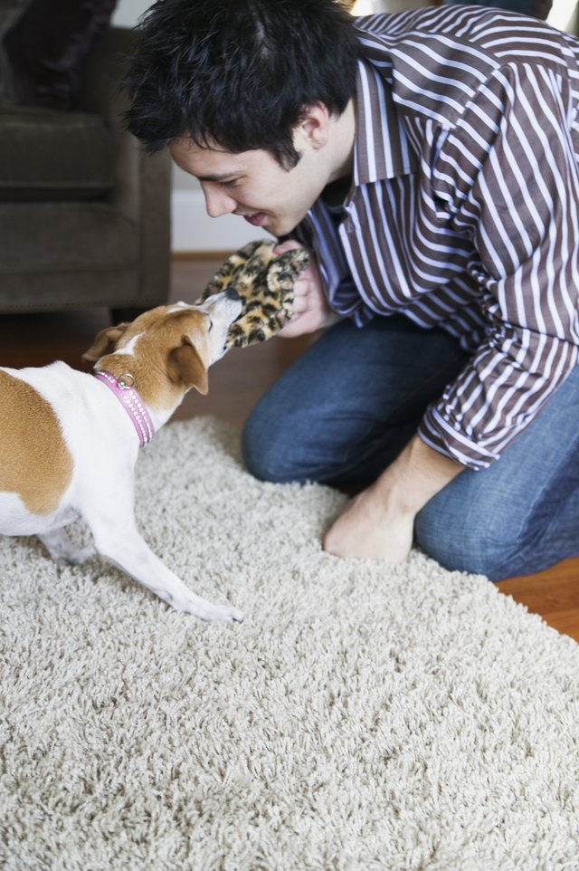Young man playing with a dog
