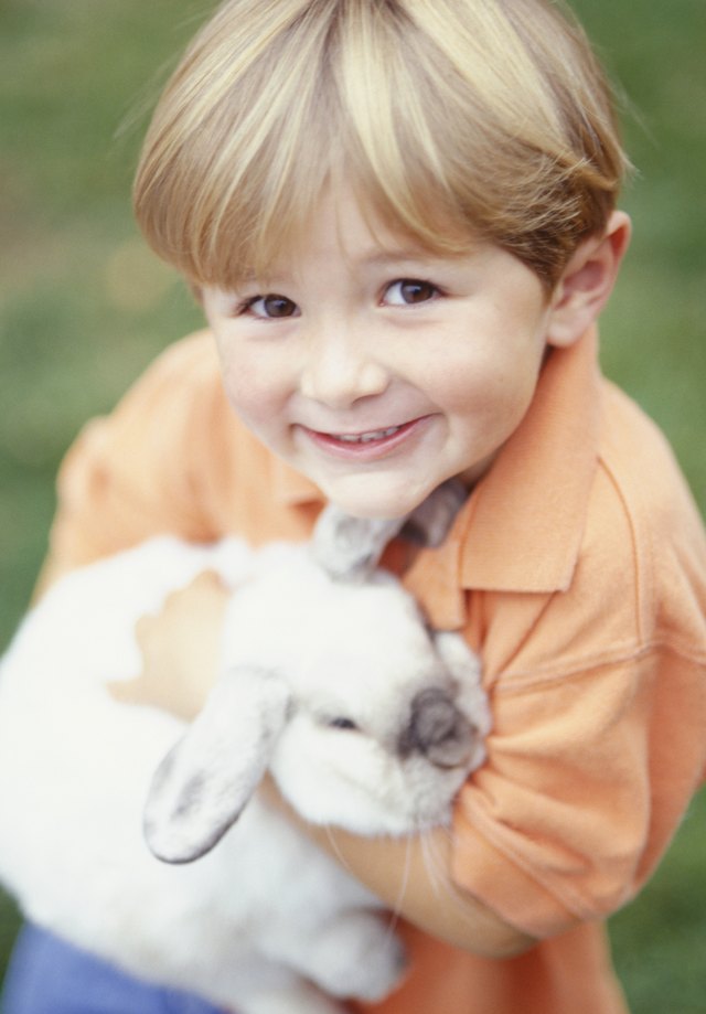 Difference Between Male And Female Rabbits Cuteness