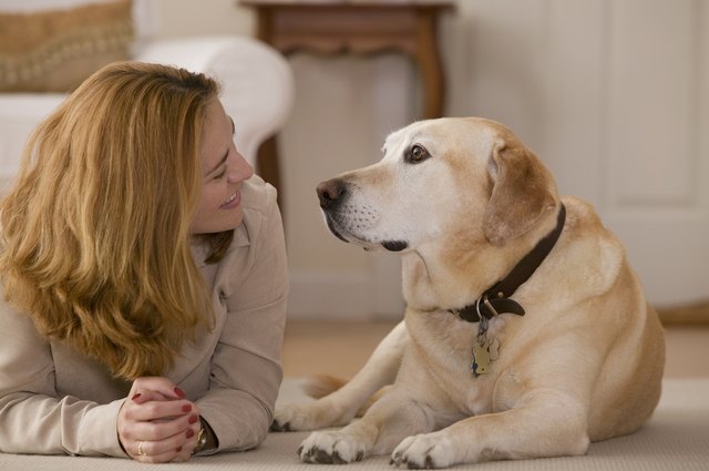 Woman and dog face to face