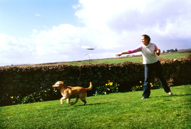 Young woman throwing a plastic disc and her dog running to catch it