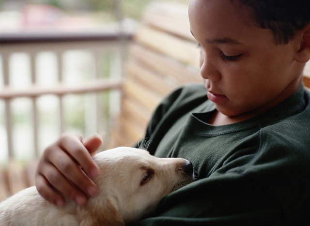 Boy with Yellow Lab Puppy