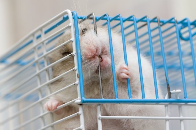caged