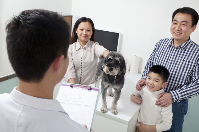 Family with pet dog in veterinarian's office