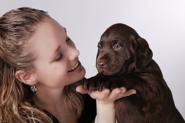 Puppy love
