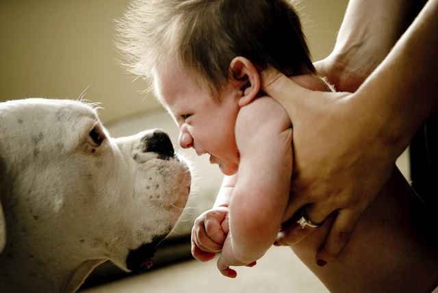 Bad Breath