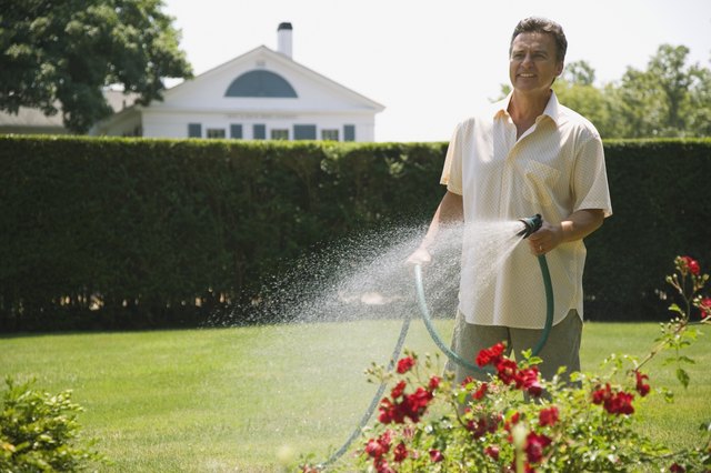 Man watering yard