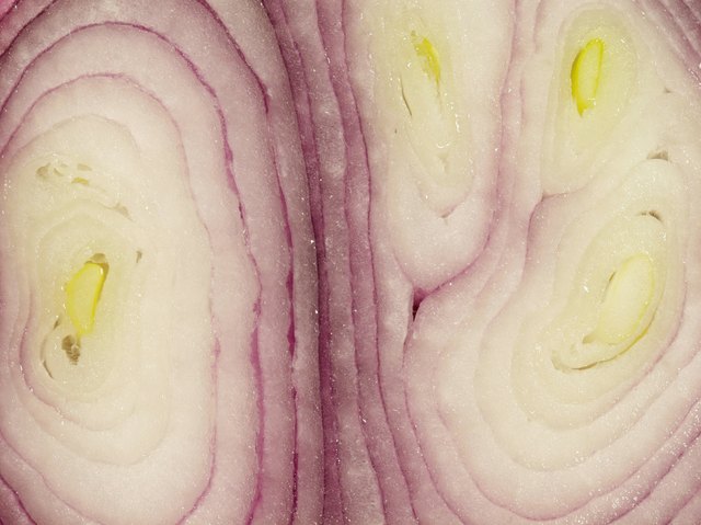Close-up of a sliced onion