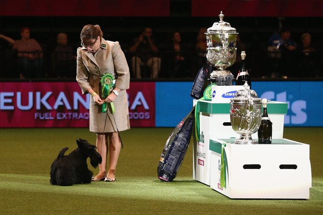 Fourth And Final Day Of Crufts 2015