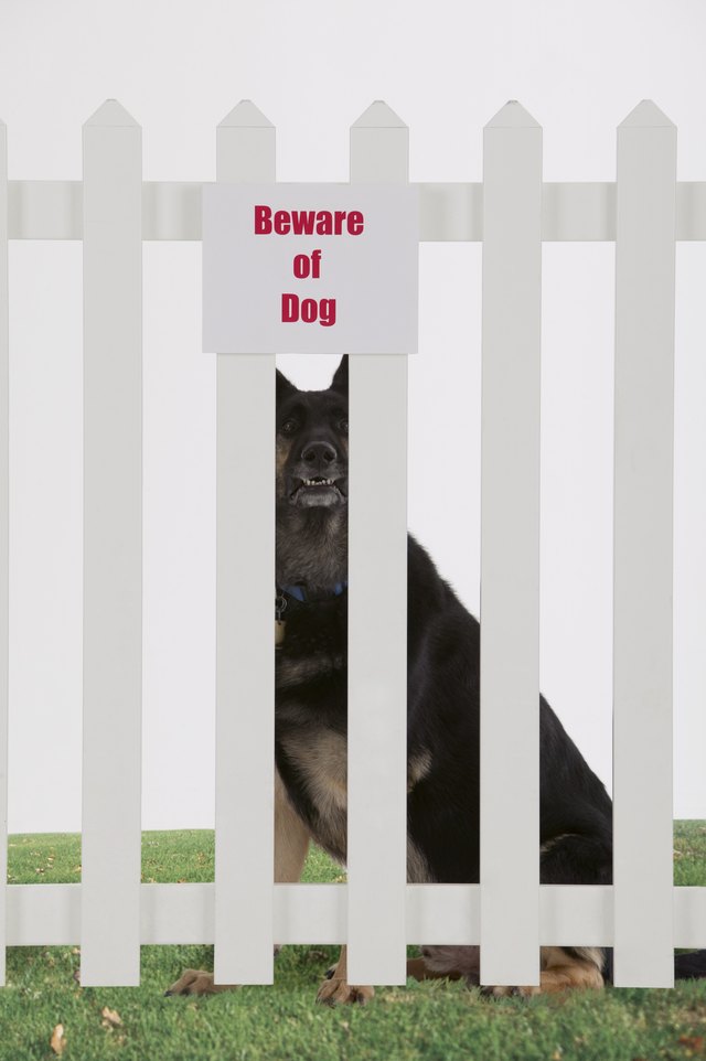 Beware of dog sign and dog