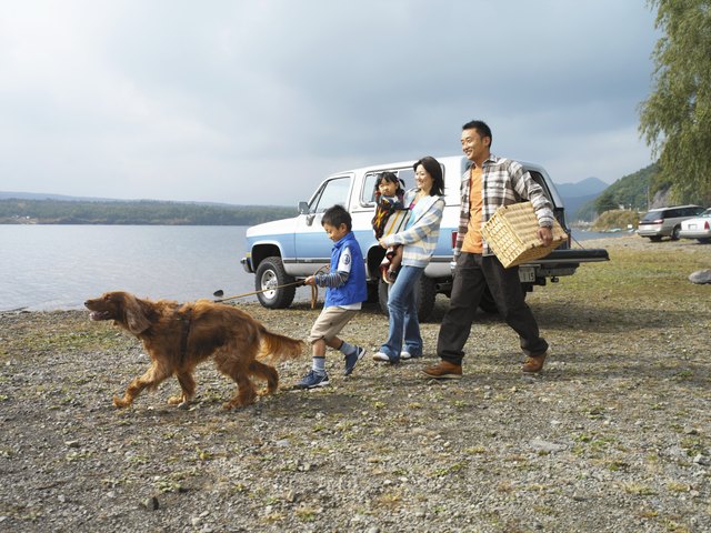 Family of four and dog on shore by car, father carrying hamper