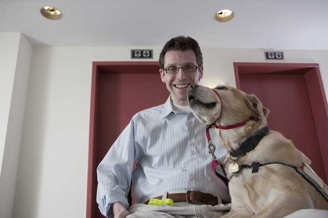 Man playing with a service dog at the elevator
