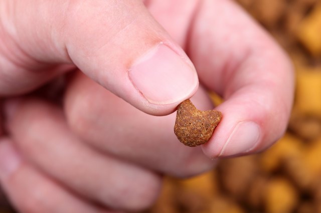 Cat food in the fingers