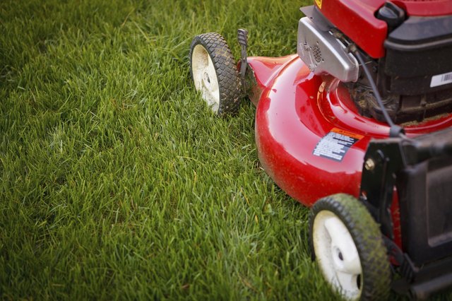 Mowing the Grass