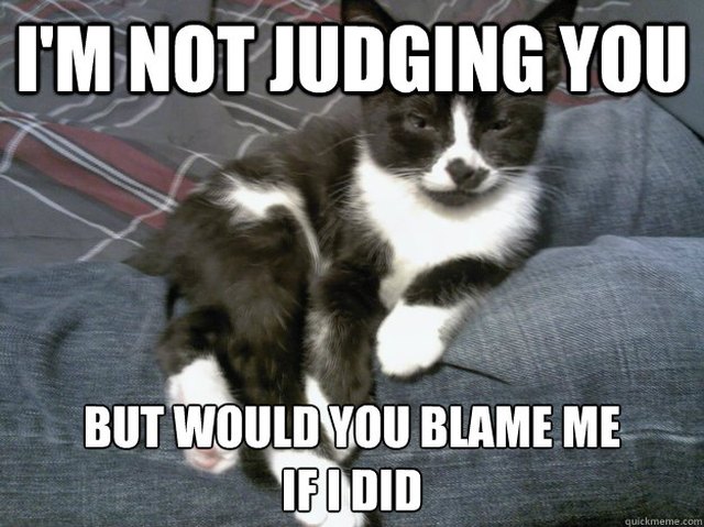 20 Adorable Pets Who Just Sit There & Judge You | Cuteness