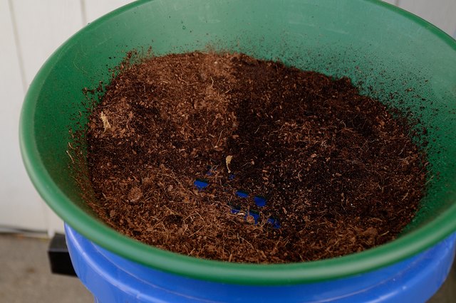 DIY Aquarium Soil Substrate | Cuteness