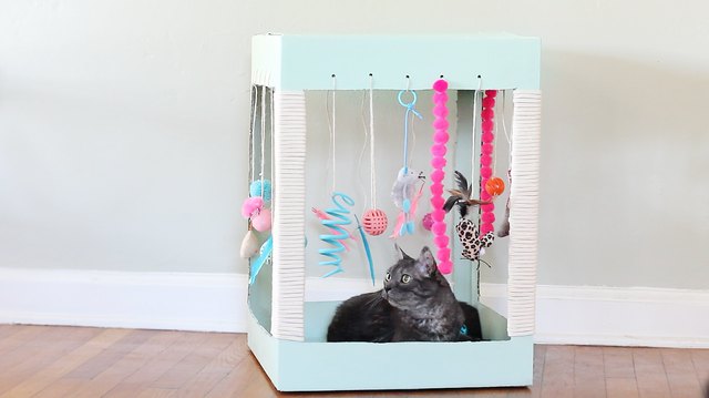 Make A Kitty Playplace Out Of A Box | Cuteness