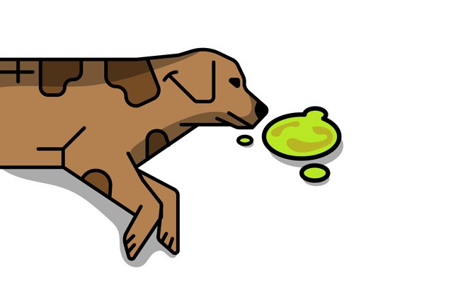 how-to-stop-a-dog-from-throwing-up-bile