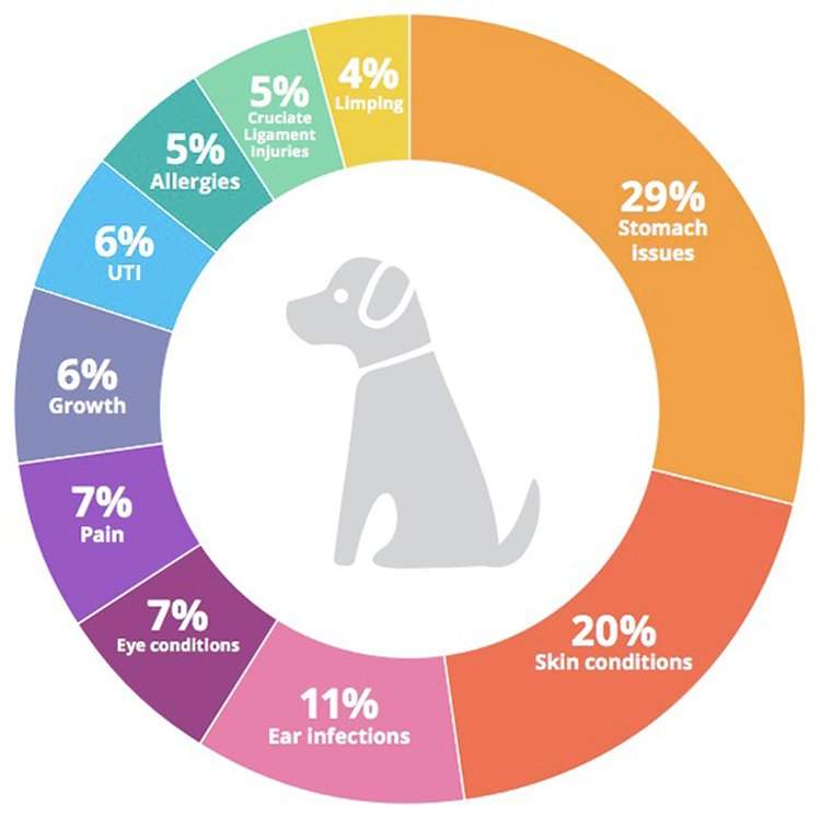 How does pet health insurance work?