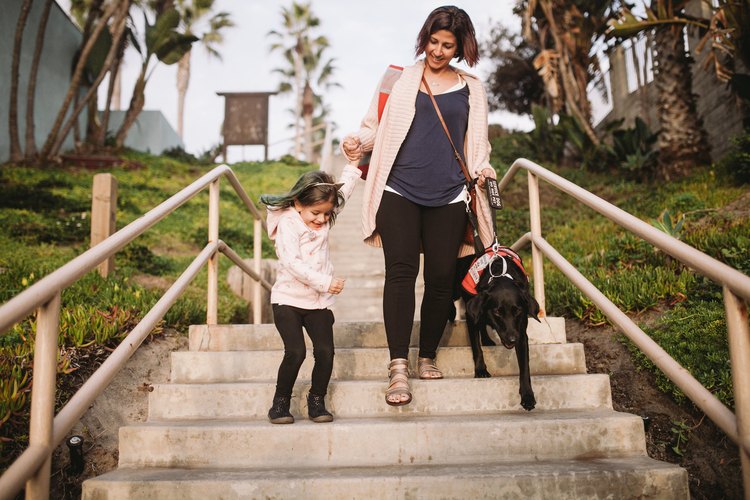 Sniffing Out Disease: How A Dog Named Moxie Is Giving A Little Girl A New Leash On Life