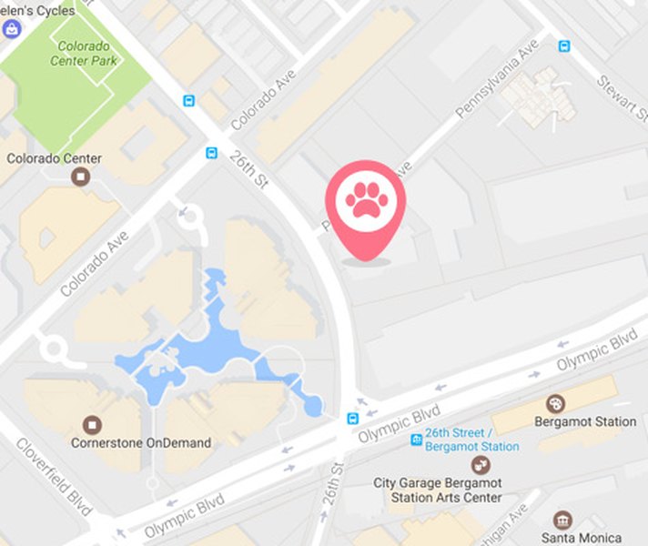 Map with a paw on the office location